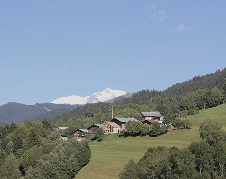 Aujourd'hui, petite ballade dans la vallée de Chamonix pour la visite d'un futur projet.
